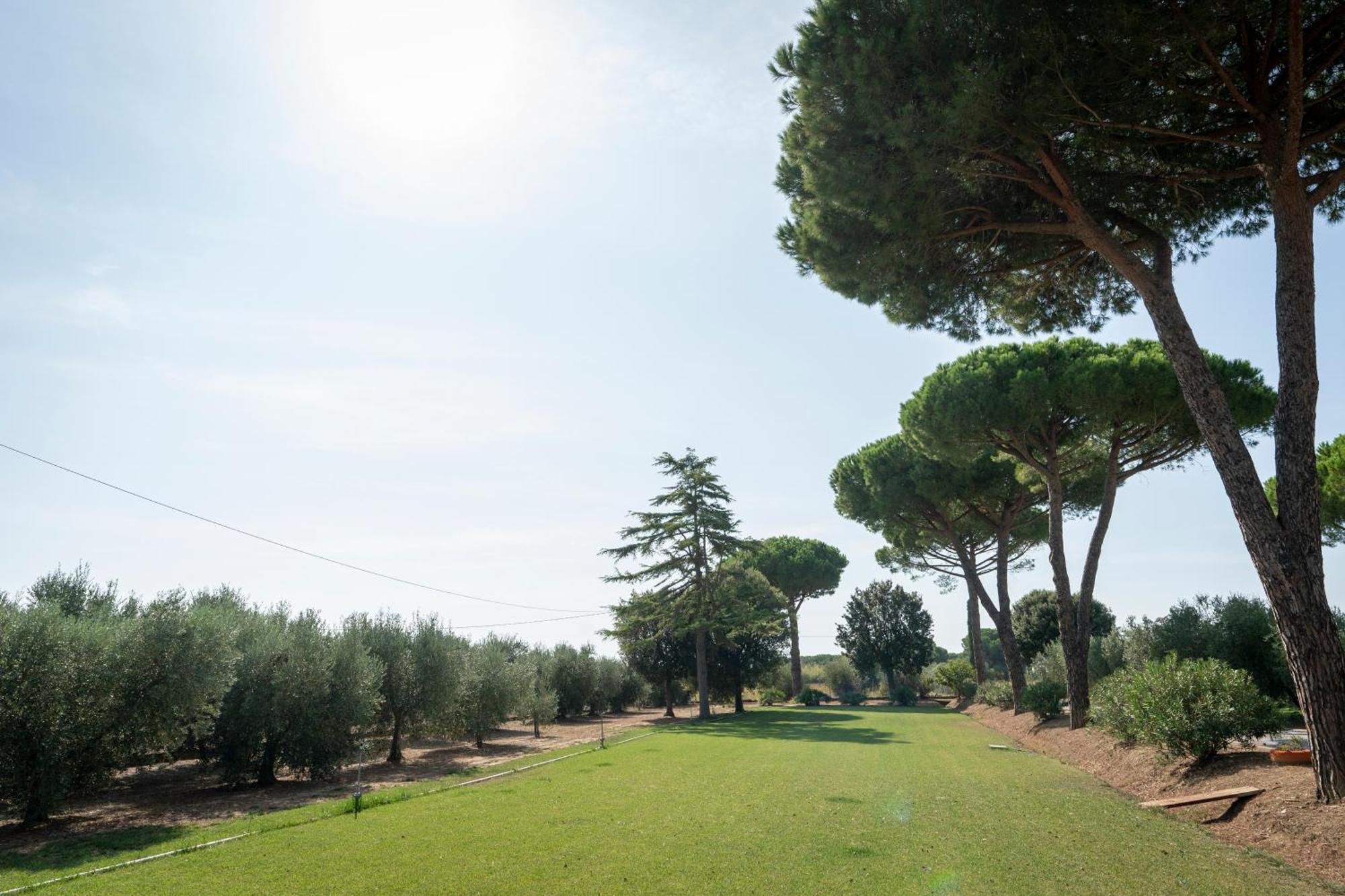 Agriturismo Nonno Gino - Charme&Relax 皮昂比诺 外观 照片