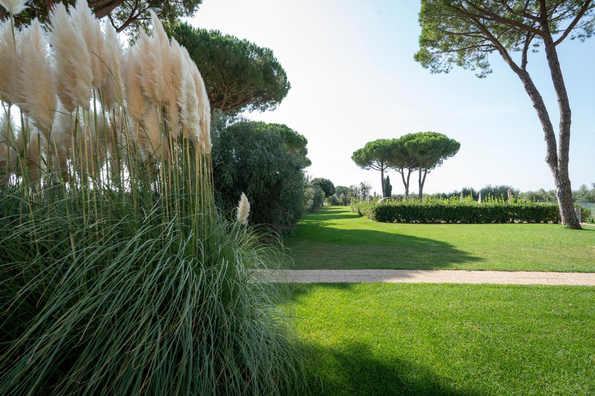 Agriturismo Nonno Gino - Charme&Relax 皮昂比诺 外观 照片
