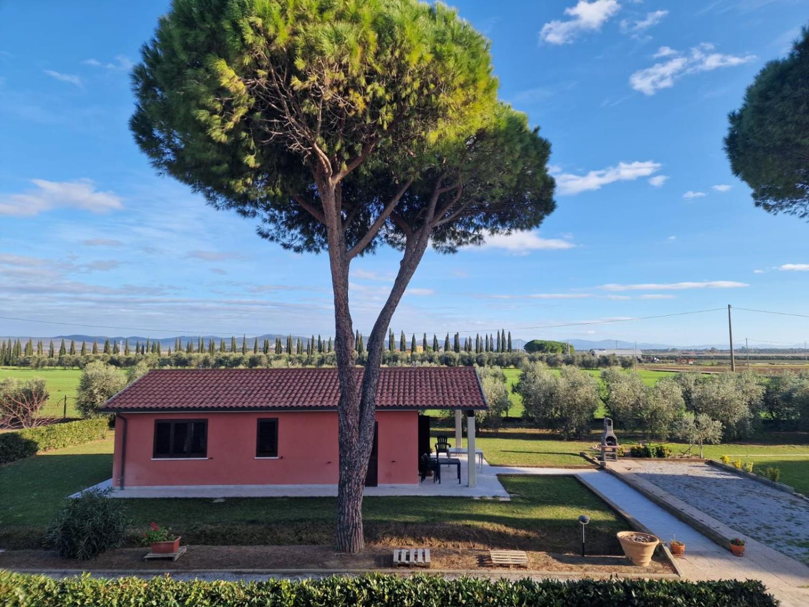 Agriturismo Nonno Gino - Charme&Relax 皮昂比诺 外观 照片